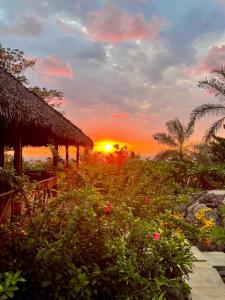 a sunset over a garden with flowers and a hut at Le Pariskomba Lodge in Anjiabe +10 photos