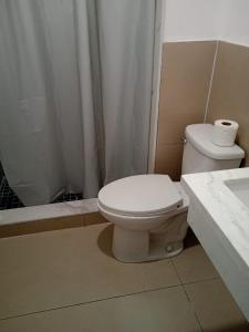a bathroom with a toilet and a shower and a sink at Sherwood Inn Motel in Brantford