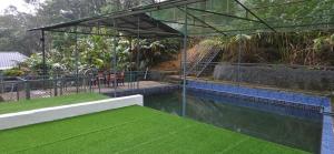 ein Haus mit einem Pool mit grünem Gras in der Unterkunft Hill valley farm resort in Viripara + 35 Fotos