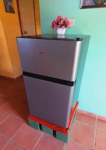 a refrigerator with a vase of flowers on top of it at Cabañas DondeJosé in Valle de Anton
