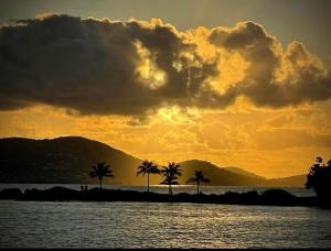 Galeriebild der Unterkunft Sapphire Beach- Island time! in East End