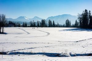 a field covered in snow with mountains in the background at Jagodowa Osada - domki z balią jacuzzi blisko term in Dzianisz