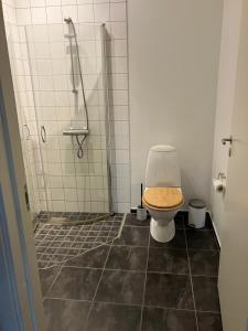 ein Badezimmer mit Toilette und Dusche in der Unterkunft Gården in Sønder Felding