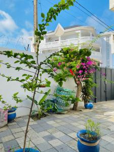 a group of potted plants in front of a white building at Villa meublée Fidjrossè, Cotonou in Cotonou