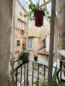 a view from the balcony of a house with a potted plant at Sassoverde 9 in Arezzo