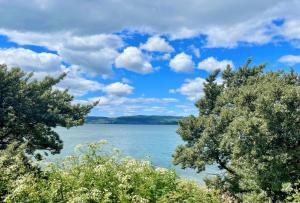 a view of a lake between two trees at Scallopshell Lodge in Otter Ferry