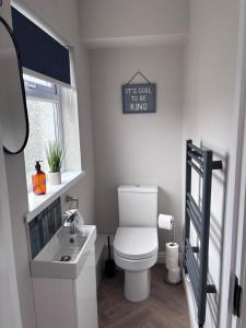 Un baño pequeño con inodoro y lavabo. en Alder House - Dowlais, en Dowlais 11 fotos más