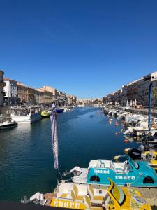 a group of boats are docked in a marina at Studio belle vue in Sète +9 photos