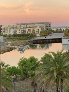 a view of a building and a marina at sunset at Studio belle vue in Sète