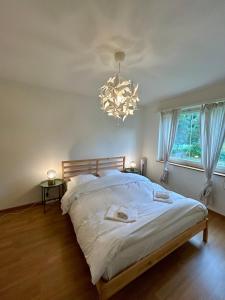 a bedroom with a large bed and a chandelier at Comfort Meets Simplicity 2BR Apartment in Zürich