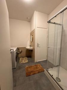 a bathroom with a shower and a toilet and a sink at A&V Apartments Hemer Nähe Lungenklinik 2 in Niederdorla