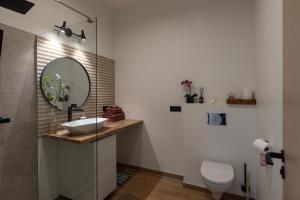 a bathroom with a sink and a mirror and a toilet at SunCoast terrace apartment in Saulkrasti +15 photos