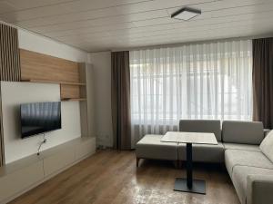 a living room with a couch and a tv at Nina Ferienwohnungen in Bad Fallingbostel