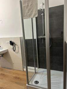 a shower with a glass door in a bathroom at Nina Ferienwohnungen in Bad Fallingbostel