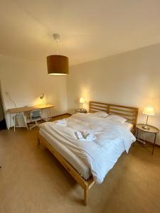 een groot bed in een kamer met twee tafels bij Comfort escape on Schwandenwiesen in Zürich