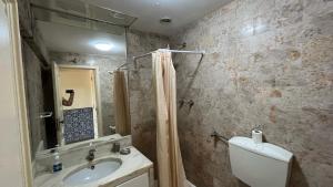 a bathroom with a sink and a toilet and a shower at Superb Position Over the River Historical Center Tomar in Tomar