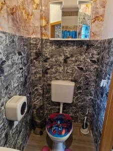 un baño con inodoro y espejo en Zimmer 3 mit eigenem Bad & Eingang nähe Barmstedt Elmshorn, en Bokholt-Hanredder