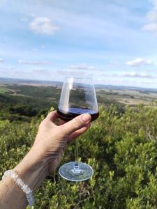 a person holding a glass of wine in a field at Vinoteca cerro in Piriápolis