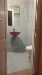 Φωτογραφία από το άλμπουμ του Antiche Scuderie Palazzo Fasciani στη Σουλμόνα +4 φωτογραφίες