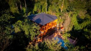 an overhead view of a train in a forest at GLAMPING SELVA IGUAZU in Puerto Iguazú