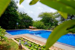 a swimming pool in a yard with a table and flowers at Cloud Nine Lanka Resort Wilpattu in Wilpattu