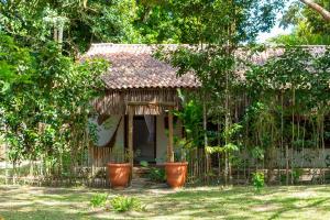 a small house with potted plants in front of it at Villa Cacau - Floresta in Trancoso