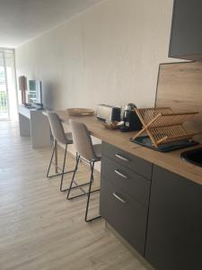 Η κουζίνα ή μικρή κουζίνα στο Grand Studio Mont Vernon Saint-Martin