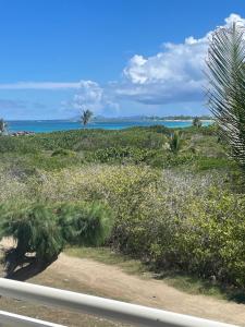 Φυσικό τοπίο κοντά σε αυτό το διαμέρισμα