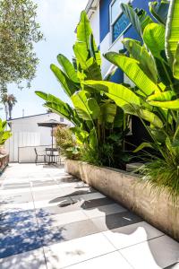 a patio with plants in front of a building at Simple La Jolla Epic bungalow #1 in San Diego