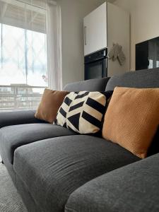 een bank met kussens erop in een woonkamer bij Le 41a in Chartres