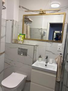 a bathroom with a sink and a toilet and a mirror at Apartament Stare Miasto Malbork in Malbork
