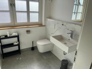 a bathroom with a white toilet and a sink at Fachwerkhuus in Göhren-Lebbin