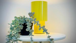 Φωτογραφία από το άλμπουμ του Ivory Residence Accommodation - Modern Comfort and Style σε Voluntari