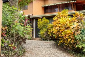 a house with a bunch of plants in front of it at Casa Playa Avellanas in Santa Cruz