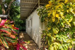 a porch of a white house with plants at Casa Playa Avellanas in Santa Cruz