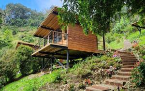a wooden house on a hill with stairs at Cloud Forest Lodge Boquete in Bajo Boquete