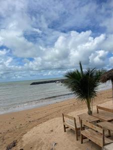 Fotografie z fotogalerie ubytování Un appartement vue sur mer v destinaci Saly Portudal + 25 fotografií