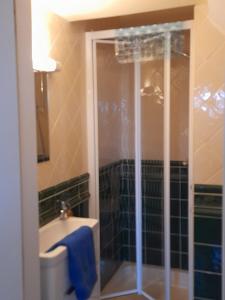 une salle de bain avec une douche, des toilettes et un lavabo dans l'établissement Kathleen Apartment, à Galway