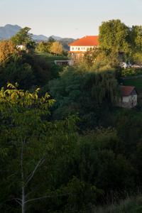 une colline avec des arbres et une maison au loin dans l'établissement Tiny House in den Weinbergen, à Tržec