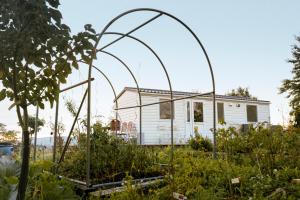 un jardin avec une maison en arrière-plan dans l'établissement Tiny House in den Weinbergen, à Tržec 21 autres photos