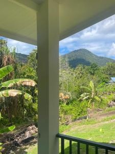Aussicht von der Veranda eines Hauses in der Unterkunft The Whispering Palm Coconut Lane in Ko Phangan