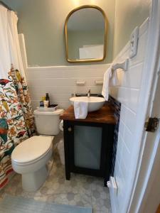 a bathroom with a toilet and a sink and a mirror at Midtown Cottage- Walk to Whole Foods in Tallahassee +37 photos
