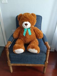 Fotografie z fotogalerie ubytování Beachy pet & family friendly cottage close to NAS no pet fee v destinaci Pensacola + 75 fotografií