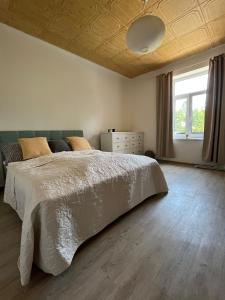 a bedroom with a large white bed and a window at Chalupa na vesnici - Blansko in Chrudim