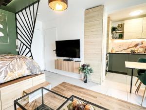 a bedroom with a bed and a flat screen tv at Studio Oasis Emeraude in Saulx-les-Chartreux