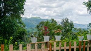 Una valla de madera con varias plantas en macetas. en Mountain Lodge, en Bandarawela