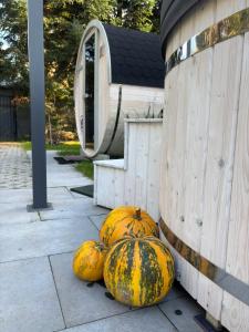 a group of pumpkins sitting next to a house at Domek Marzenie in Radawa