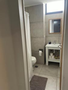 a bathroom with a toilet and a sink and a mirror at Nordico II in La Plata