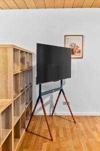 a television on a tripod in a room with shelves at NEW Apartment Tina- 2-Zimmer, 4 Einzelbetten, Parkplatz in Buchen +32 photos