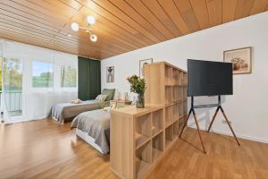 a bedroom with a bed and a television in it at NEW Apartment Tina- 2-Zimmer, 4 Einzelbetten, Parkplatz in Buchen